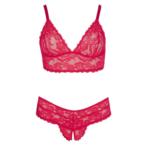 Cottelli Plus Size Red Lace Bra And Briefs Size: XXL - Image 4